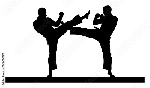 Martial Arts Kick Silhouette Vector - Clean Design
