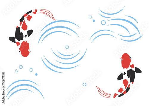 Japanese Koi Fish Vector Design
