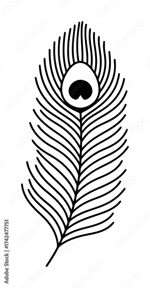 Obraz premium Peacock Feather Frame - Black Vector on White