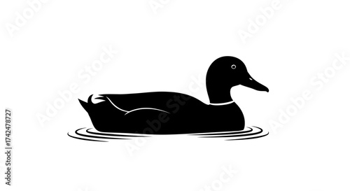 Silhouette of a black duck swimming on water.