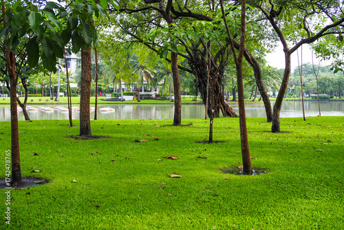 Thailand 13  October 2025 - A photo taken at Chatuchak Park where rain just fell on the trees.