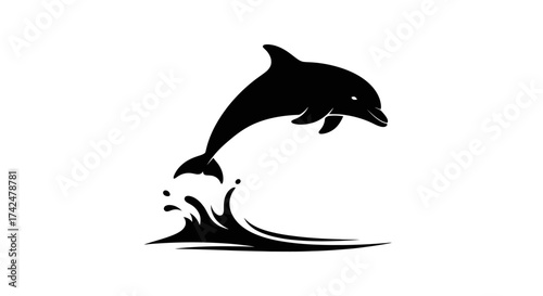 Graceful dolphin leaping from the water in a dynamic silhouette.