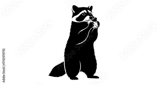 Black and white graphic illustration of a raccoon standing and eating.