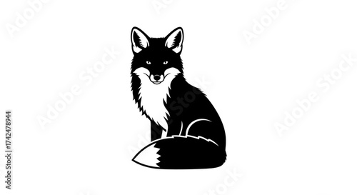 Black fox sitting elegantly with white accents on fur.