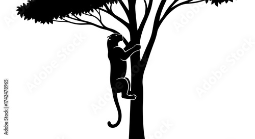Silhouette of a monkey climbing a tree in black and white.