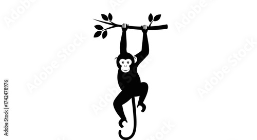 Black silhouette of a monkey hanging from a tree branch.