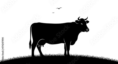 Silhouette of a Cow Standing in a Field with Birds Flying Above.