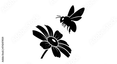 Silhouette of a Bee Approaching a Flower.