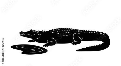 Monochrome Crocodile Illustration - Detailed Reptilian Artwork with Water Reflection.
