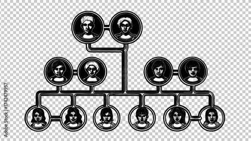 Family tree diagram showing generational connections, ancestry research and genealogy mapping concept