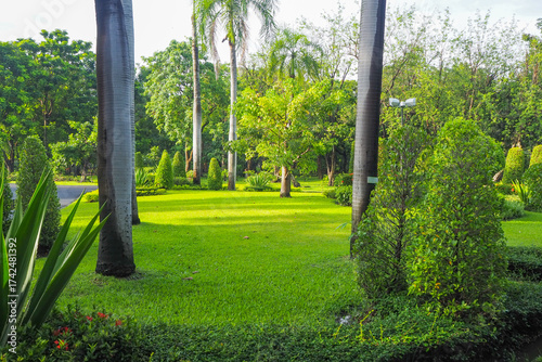 Thailand 13  October 2025 - A photo taken at Chatuchak Park where rain just fell on the trees.