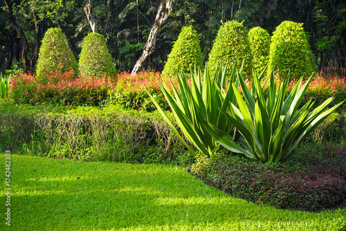 Thailand 13  October 2025 - A photo taken at Chatuchak Park where rain just fell on the trees.