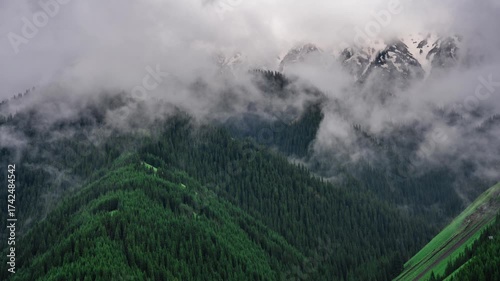 Misty Forest Mountains in Guozigou Valley Yili - Dramatic Cloudy Natural Scenery Landscape