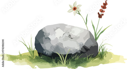 Stones and grass