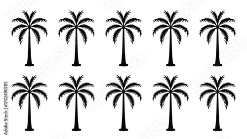 Vector illustration repeating pattern black palm trees scalable eps icon decorative tropical element silhouette vector illustration white background