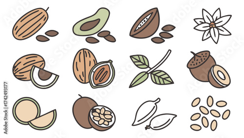 sets of different seeds