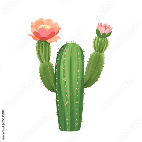 A green cactus with two pink flowers