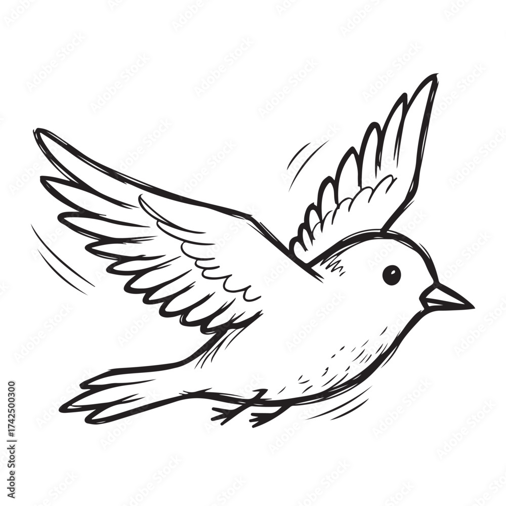 Obraz premium Simple Hand-Drawn Flying Bird Outline Illustration