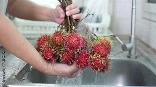 Close-up of vibrant red rambutan cluster being wash under running tap water in stainless steel kitchen sink, hold by hand gripping fruit's stem. Food preparation, freshness , and tropical hygiene.