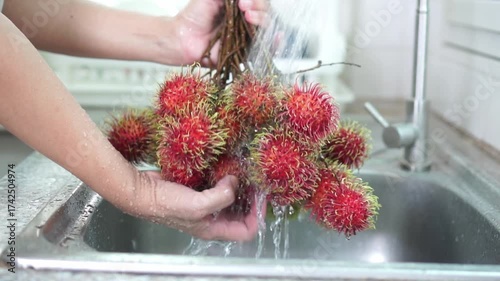 Close-up of vibrant red rambutan cluster being wash under running tap water in stainless steel kitchen sink, hold by hand gripping fruit's stem. Freshness , and tropical hygiene. Slow motion.