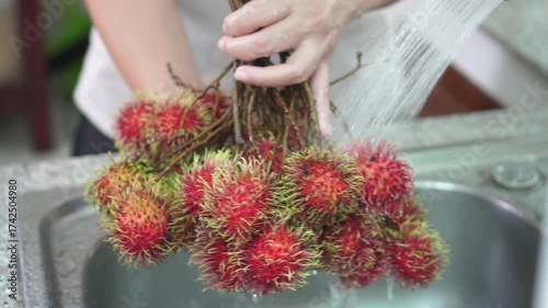 Close-up of vibrant red rambutan cluster being wash under running tap water in stainless steel kitchen sink, hold by hand gripping fruit's stem. Freshness , and tropical hygiene. Front view.