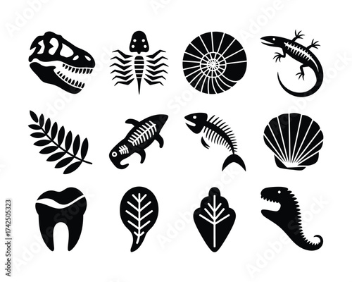 Set of 12 black silhouette fossil icons vector illustration scalable eps for paleontology and science graphics silhouette vector illustration white background