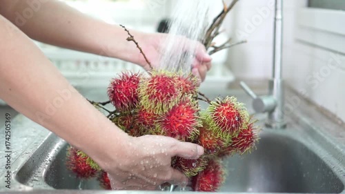 Close-up of vibrant red rambutan cluster being wash under running tap water in stainless steel kitchen sink, hold by hand gripping fruit's stem. Freshness , and tropical hygiene. Slow motion.