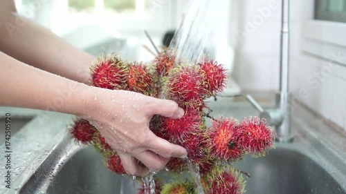 Close-up of vibrant red rambutan cluster being wash under running tap water in stainless steel kitchen sink, hold by hand gripping fruit's stem. Freshness , and tropical hygiene. Slow motion.