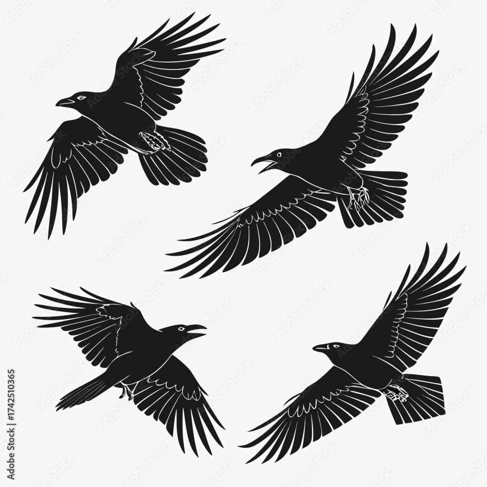 Fototapeta premium set of birds