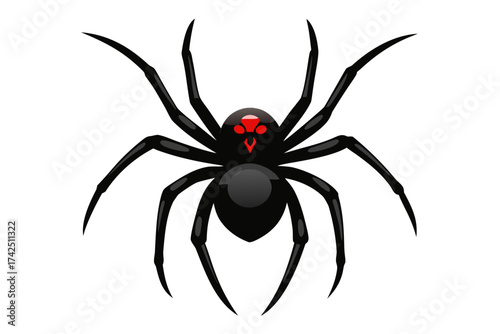 black widow spider