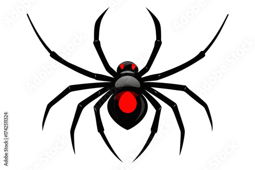 spider on white background