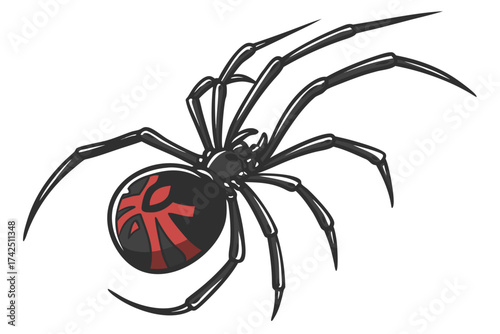 spider on a white background