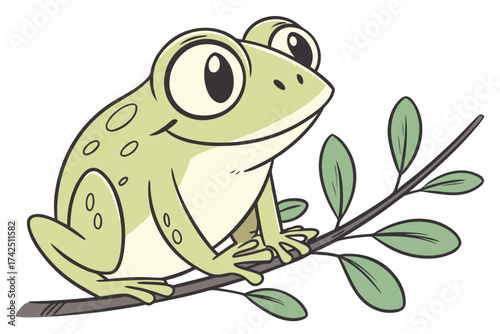 frog on white background