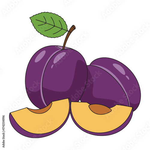 Two ripe plums and two plum slices, a healthy and delicious fruit for your diet