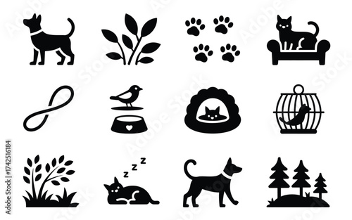 Vector graphics pack 12 icons dog sweater pet animals plants paw prints bird toys and more scalable eps silhouette vector illustration white background