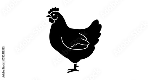 Elegant black silhouette of a hen against a white background in vector format