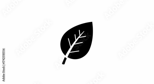 Elegant minimalistic black leaf icon against a pristine white background design