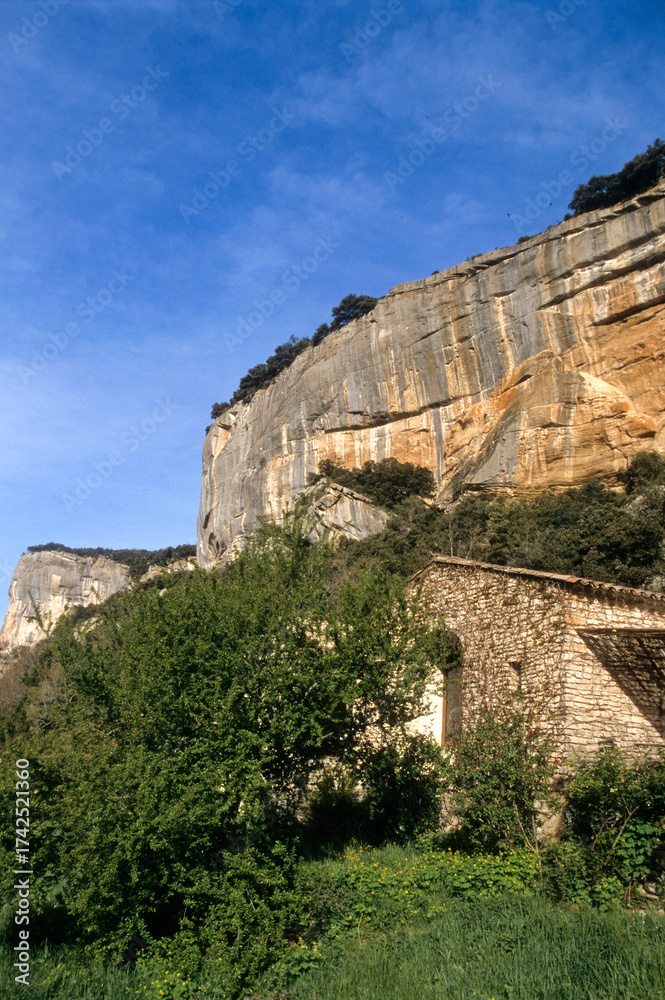 Fototapeta premium Falaise de Buoux, Buoux, massif du Lubéron, Vaucluse, 84, France