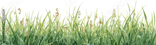 green grass and flowers