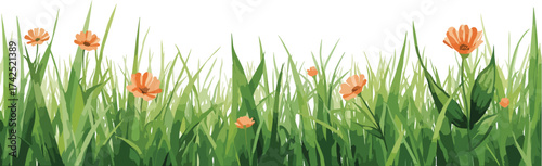 green grass and flowers