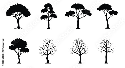 Variety of black silhouette trees different shapes and crown designs