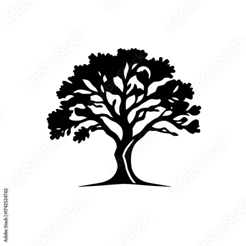 Silhouette of a mature tree with a full canopy and a visible trunk and branches, isolated on a white background.