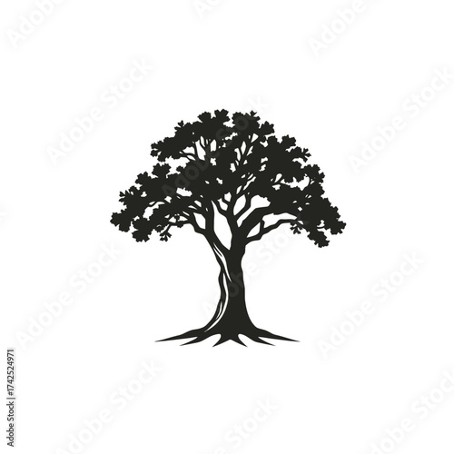 Silhouette of a large oak tree with a full canopy and exposed roots, isolated.