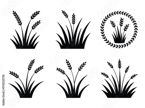 Collection of six stylized wheat stalks vector illustrations scalable for various design applications silhouette vector illustration white background