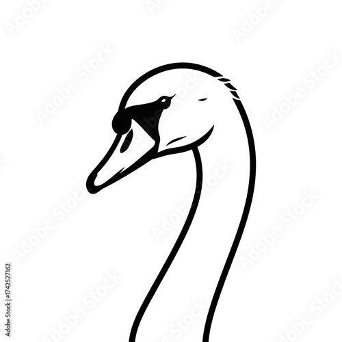 Elegant Black and White Swan Head and Neck Illustration.