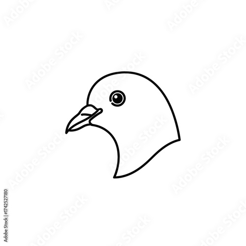 Simple Line Drawing of a Pigeon Head.