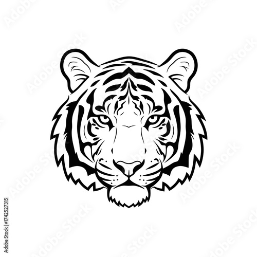 Majestic tiger face portrait in black and white, fierce and focused.