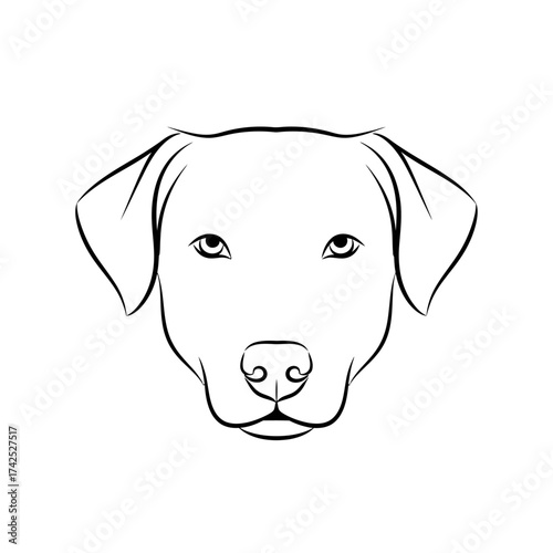 Simple line drawing of a dogs face with attentive eyes and floppy ears.