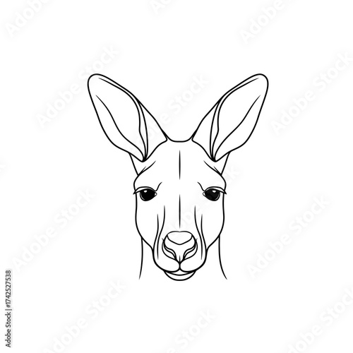 Detailed Line Art Portrait of a Kangaroo Head.