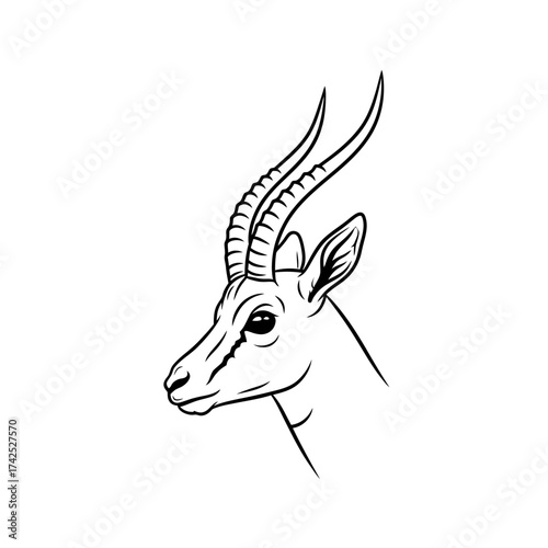 Elegant gazelle portrait showcasing detailed horns and attentive gaze in monochrome.